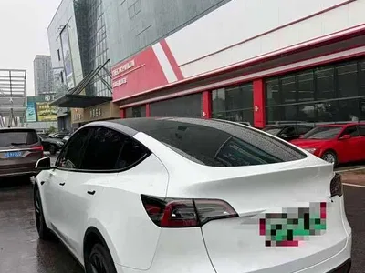 2022 Tesla Model Y Rear-Wheel Drive Version, фото 3, лот 11241191