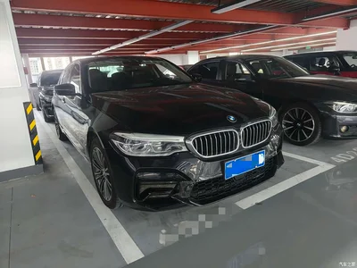 2018 BMW 5 Series Facelift 530Li Exclusive Luxury Package, фото 3, лот 11081018