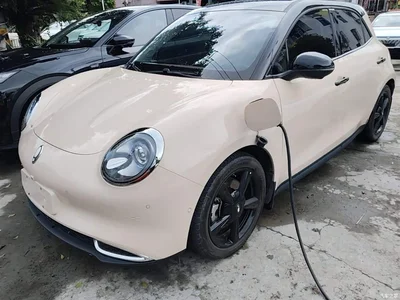 2024 Ora Good Cat 401km Honor 135kW, фото 1, лот 10330774