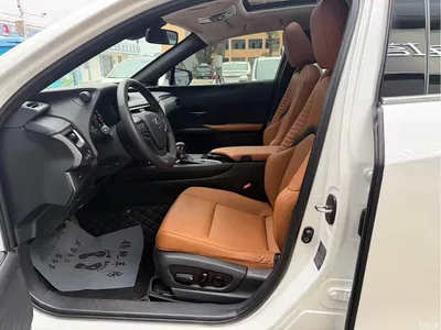 2020 Lexus UX 260h Explore Fun Edition China V, фото 4, лот 10318595