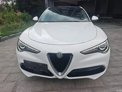 2017 Alfa Romeo Stelvio 2.0T 200HP Elite, фото 3, лот 10240294