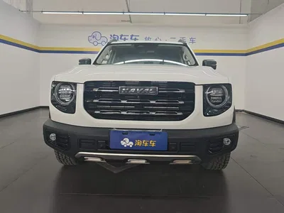 2022 Haval Big Dog 2.0T DCT AWD Howling Celestial Dog Edition, фото 2, лот 10414827