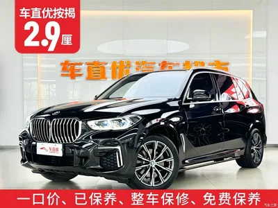 2022 BMW X5 Facelift xDrive 30Li Premium M Sport Package, фото 2, лот 11012587