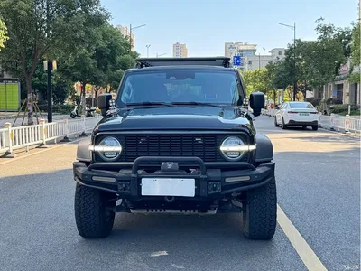 2021 Tank 300 Off-road Version 2.0T Conqueror, фото 2, лот 11565710