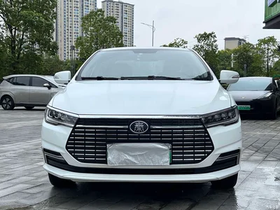 2019 BYD Qin New Energy Travel Edition, фото 1, лот 10273278