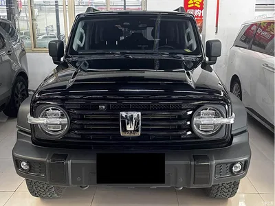 2023 Tank 300 Off-Road Edition 2.0T Challenger, фото 2, лот 10450984