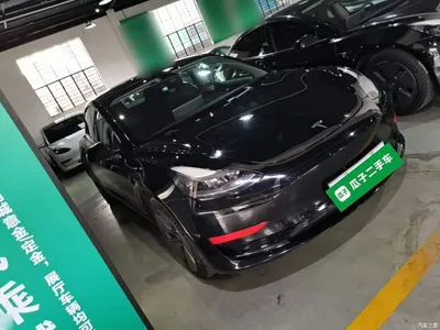 2023 Tesla Model 3 Rear-Wheel Drive, фото 4, лот 10369366