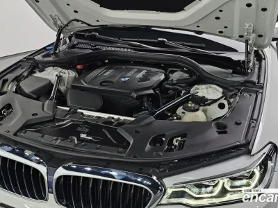 2018 BMW 5-Series 520d xDrive M Sport Package Plus, фото 4, лот 10060743