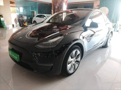 2021 Tesla Model Y Standard Range Rear-Wheel Drive, фото 1, лот 10369613