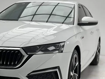 2023 Škoda Octavia Facelift PRO TSI280 Premium Edition, фото 4, лот 10349436