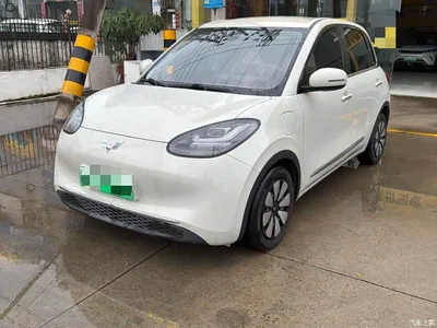 2023 Wuling Motors Wuling Bingo Model 333km Joy+ Version, фото 1, лот 10367647