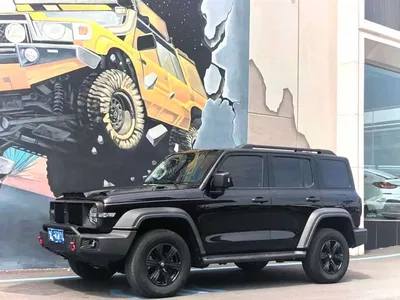 2021 Tank 300 Off-road Version 2.0T Conqueror, фото 1, лот 10398359