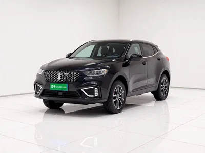 2021 WEY VV5 1.5T 2WD Smart Pioneer, фото 2, лот 10452467