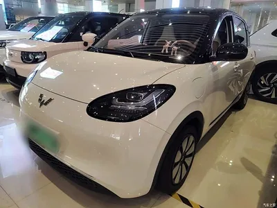 2025 Wuling Motors Wuling Bingo Model 333km Joy Edition, фото 1, лот 10440003