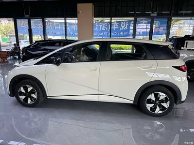 2025 BYD Dolphin 420km Freedom Edition, фото 3, лот 10396827