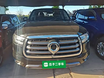 2021 Great Wall Pao 2.0T Passenger Global Edition Automatic Gasoline 2WD Comfort Standard Box GW4C20B, фото 3, лот 10334948