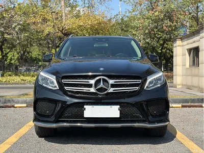 2017 Mercedes-Benz GLE 320 4MATIC Dynamic, фото 2, лот 10258296