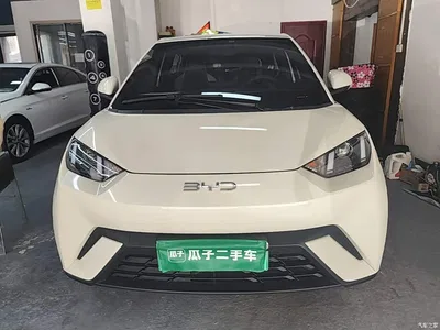 2024 BYD Seagull Glory Edition 305km Vitality Edition, фото 3, лот 10262968