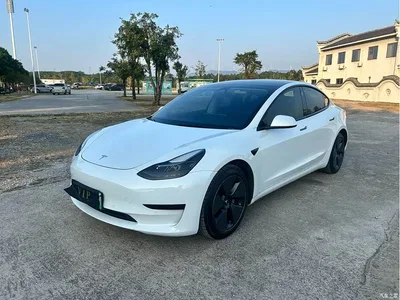 2022 Tesla Model 3 Model Rear-Wheel Drive Version, фото 3, лот 11099542