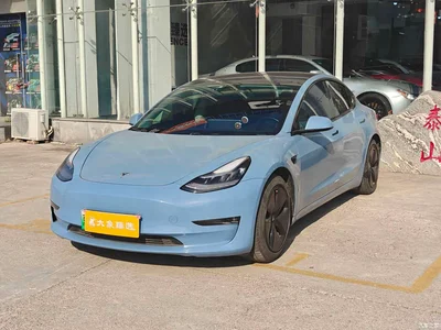 2019 Tesla Model 3 Standard Range Rear-Wheel Drive Upgrade, фото 1, лот 10369185