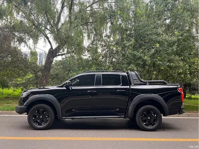 2021 Great Wall Pao Model 2.0T Off-Road Automatic Gasoline 4WD Everest Edition GW4C20B, фото 3, лот 10246222