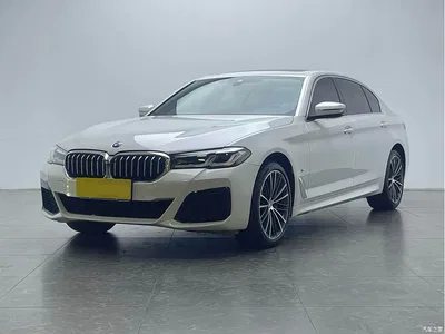 2023 BMW 5 Series 530Li Leading M Sport Package, фото 1, лот 11548405