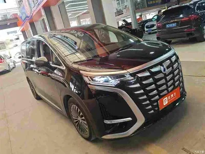 2024 Denza D9 DM-i 980 AWD Premium, фото 2, лот 10450028