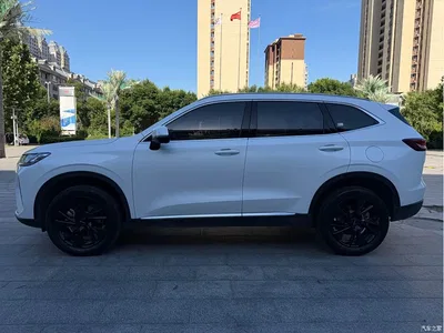 2021 Haval H6 3rd Generation 2.0T Auto AWD Max, фото 3, лот 10297817