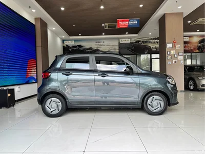 2023 Leapmotor T03 200 Light Edition, фото 3, лот 10444981