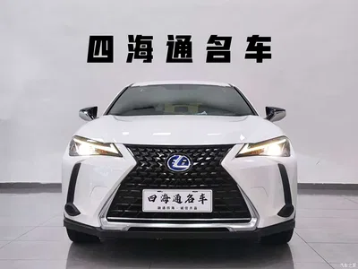 2020 Lexus UX 260h Explore Cool Edition China V, фото 2, лот 10437054