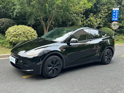 2023 Tesla Model Y Rear-Wheel Drive Edition, фото 1, лот 11196377