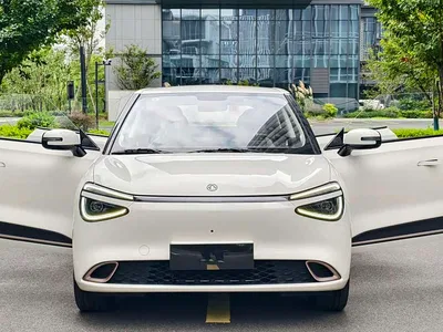 2024 Dongfeng Yipai Nano 01 Renewal Edition 330 Plus Smart+, фото 3, лот 10835121