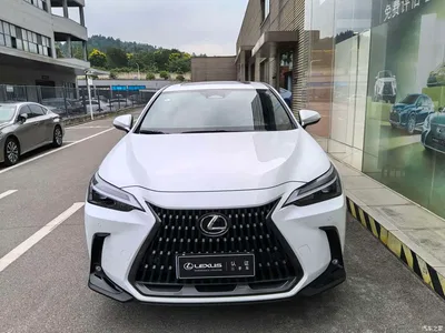 2025 Lexus Nx, фото 2, лот 10436469