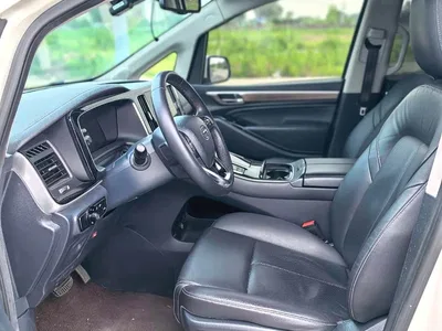 2021 GAC Trumpchi Trumpchi M8 Leading Show Series 390T Prestige Edition, фото 4, лот 10416501