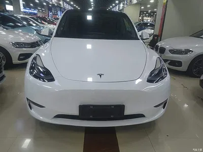 2021 Tesla Model Y Model Long Range AWD, фото 3, лот 10370432