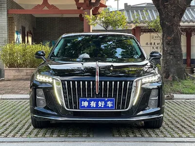 2025 Hongqi H5 2.0T Automatic Flag Celebration 500,000 Units Anniversary Edition, фото 2, лот 10287856