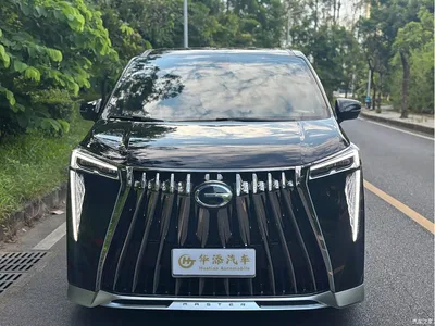 2023 GAC Trumpchi Trumpchi M8 Model Master Series Hybrid Royal Edition, фото 2, лот 10419581