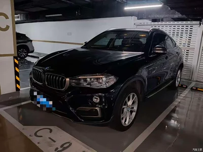 2015 BMW X6 xDrive35i Luxury Model, фото 1, лот 10395341