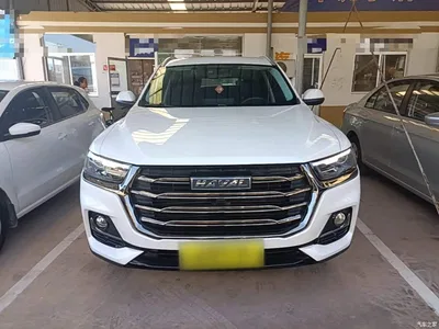 2021 Haval H6 National Trend Edition 1.5T Automatic Urban Edition, фото 3, лот 11579394