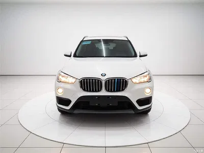 2019 BMW X1 sDrive18Li Fashion Model, фото 3, лот 10467889