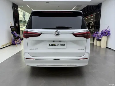 2023 Buick GL8 ES Landmaster Exclusive, фото 4, лот 10250980
