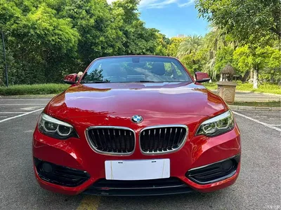 2018 BMW 2 Series (Import) 220i Convertible Coupe Sport Design Package, фото 2, лот 10471391