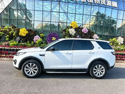 2019 Land Rover Discovery Sport 240PS HSE Edition China V, фото 3, лот 11415142