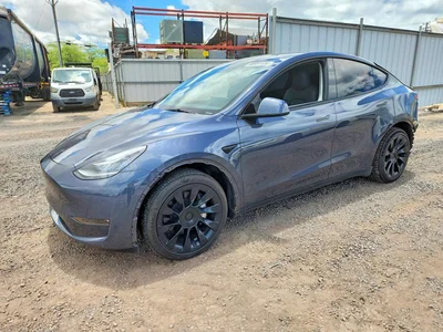 2023 TESLA MODEL Y, фото 1, лот 10637866