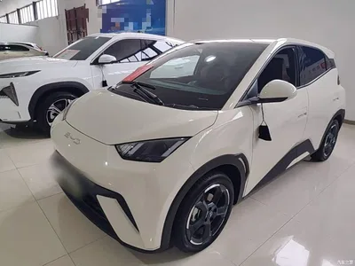 2024 BYD Seagull Glory Edition 305km Freedom Edition, фото 1, лот 10260225
