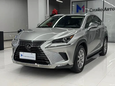 2020 Lexus NX 200 AWD F Sport China V, фото 1, лот 10319073