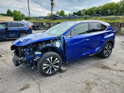 2021 LEXUS NX 300 F SPORT, фото 1, лот 11588568