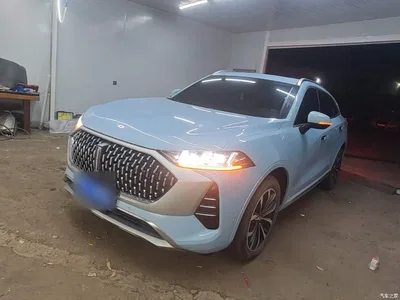 2021 WEY Mocha 2.0T 4WD Premium Edition, фото 2, лот 11146791