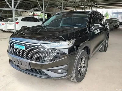 2023 Haval H6 New Energy DHT-PHEV 110KM Joy Ride Edition, фото 1, лот 10285635