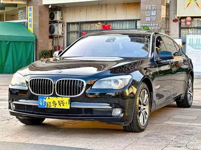 2010 BMW 7 Series 750Li, фото 1, лот 10343537